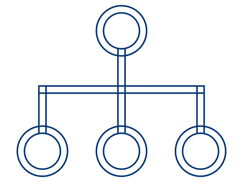 Ledelse, organisation